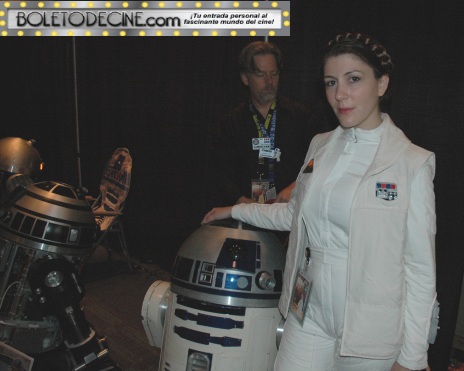 celebration VI pic 9